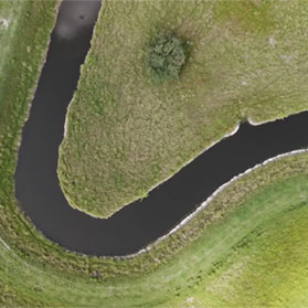 Lykes Bros. Inc. land managment